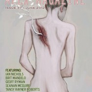 Issue 37